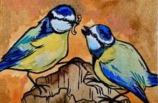 Blue tit Bird Love Original