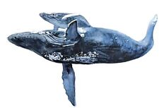 Humpback Whale with calf
