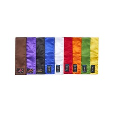 Playwel Satin Kung Fu Sash Martial Arts Shaolin Colour Belt Tai Chi Wushu JKD