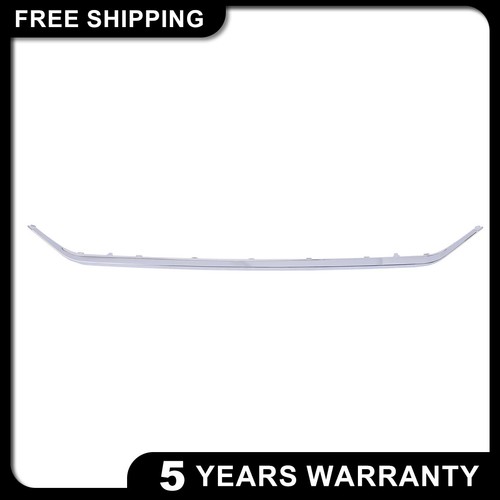 Rear lower bumper face bar - lower,