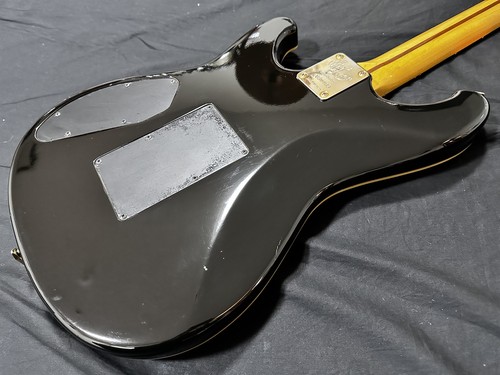 Ibanez rs1010sl steve lukather - steve,
