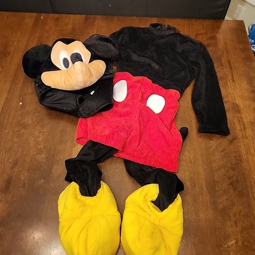 Disney spirit mickey friends - disney, &
