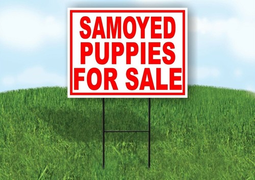 Samoyed puppies for sale - sale, red
