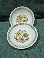 Vintage Broadhurst Ironstone