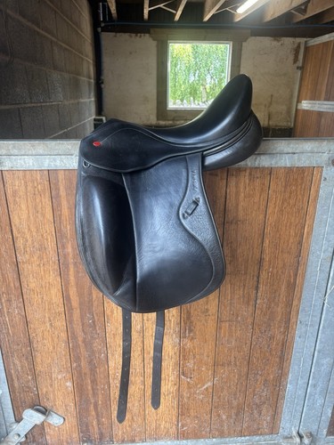 Vienna close contact - , dressage