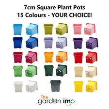 7cm Square Plastic Plant Pots