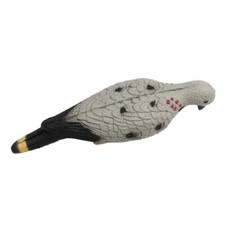 3D Pigeon Decoy Shell Full