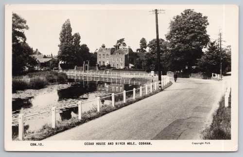 Cedar house river mole - &,