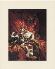 CAT KITTEN PRINT BEAUTIFUL