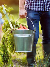 Galvanised Metal Bucket Handle