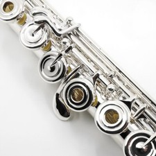 Flute-Amadeus by Haynes Model