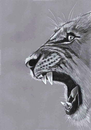 Original pencil portrait art - ,
