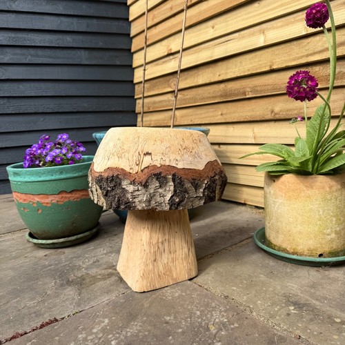 Mushroom sculpture natural - mushroom,