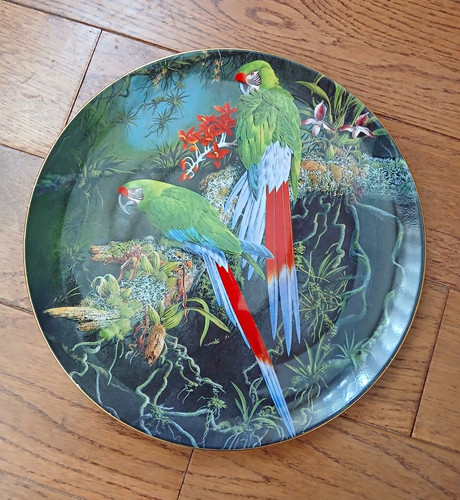 Wedgwood buffon macaws - buffon's,