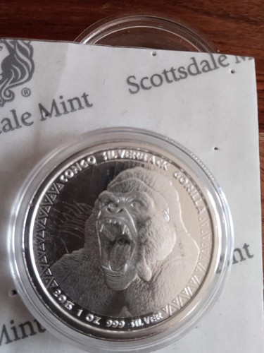 Scottsdale congo silverback