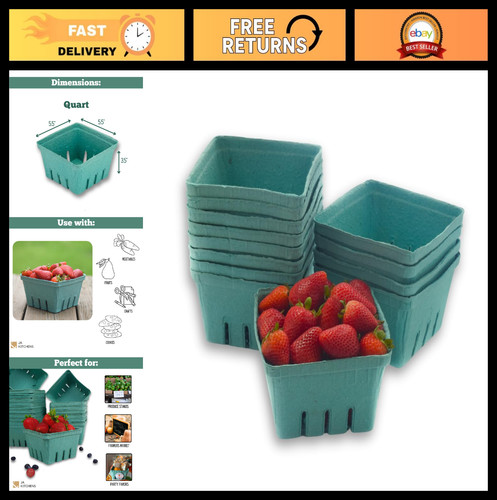 Pack green molded - 42, pulp