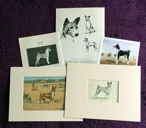 Basenji antique vintage - &,
