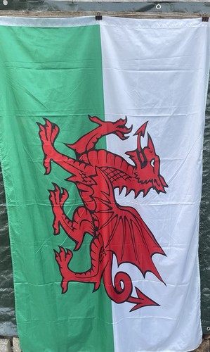 Large wales flag welsh dragon - large,