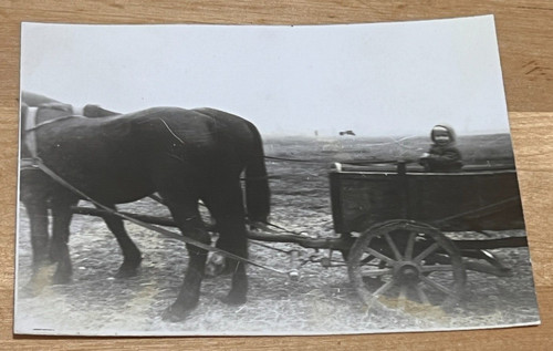Old photo horse child - old,