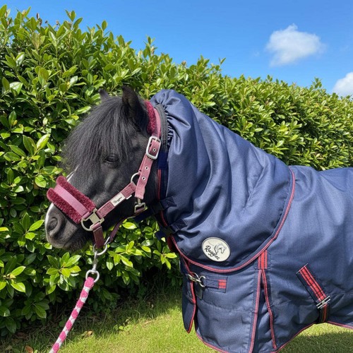 Ruggles turnout neck cover - ruggles, for