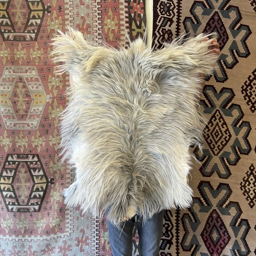 Natural angora goat - angora, skin