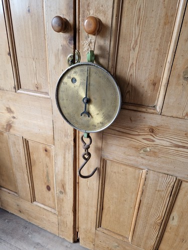 Salter scales - salter,