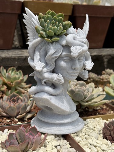 Printed medusa bust statue - 3d,
