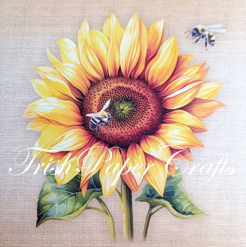 Sample set 5x5 sheets - of, 20