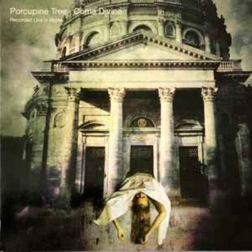 Porcupine tree - porcupine,