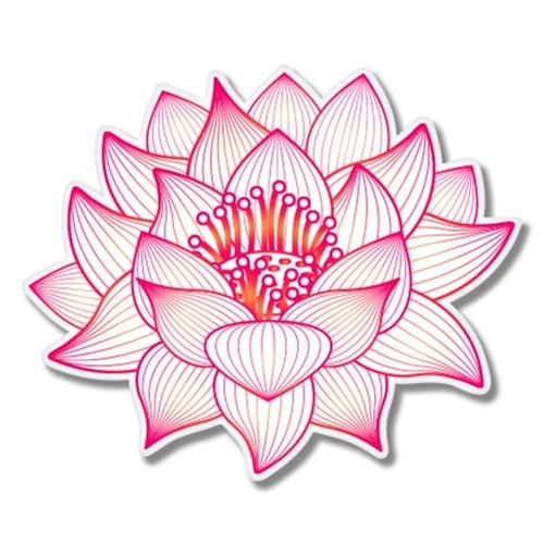 Lotus flower beautiful - flower,