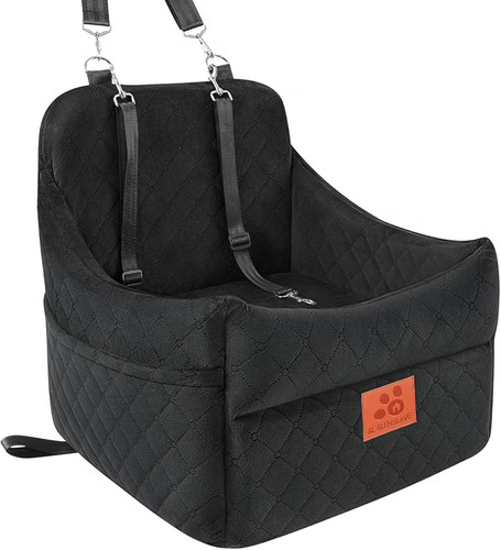 Black luxury dog car - dog,
