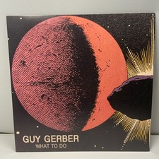 Guy Gerber - What To Do 12”
