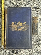 The Fresh And Saltwater