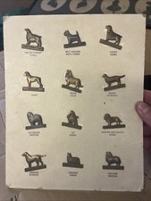 Rare Dog Breeds Badges Show