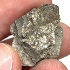 Partial Dinosaur Egg 1.11"