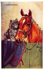 MABEL GEAR HORSE STUDIES POSTCARD RIDING A HACK & PERSION CAT CONFIDENCES