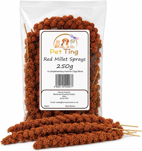 Pet ting french red millet - pet,