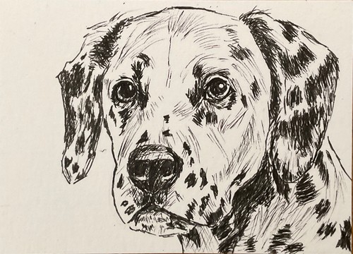 Aceo pen and ink drawing - pen,