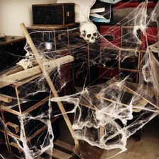 Halloween spider web with - web,