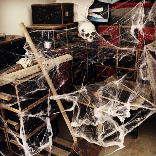 Halloween spider web with - spider,