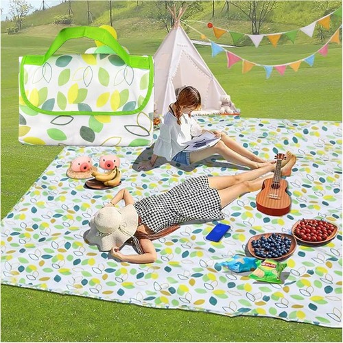 Portable picnic mat - mat, travel