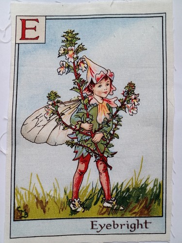 Eyebright alphabet - e,