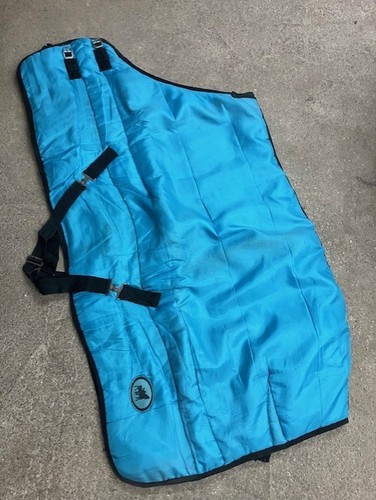 Horse heavyweight stable - 5'9,
