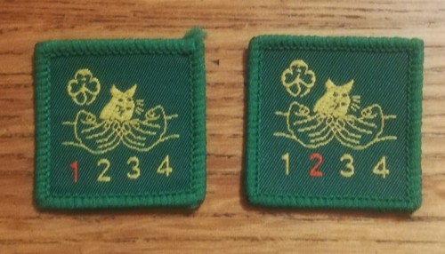 Girlguiding old friend - friend, to