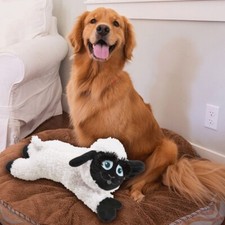 Baa Baa Black Sheep for Dog