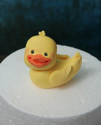 The duck handmade edible cake