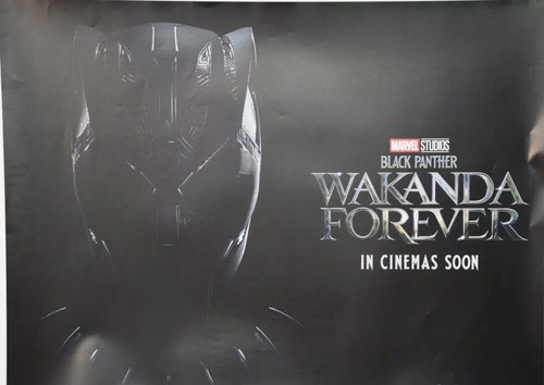 Black panther wakanda - :,