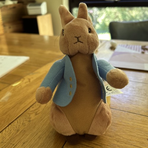 Peter rabbit the - world, of