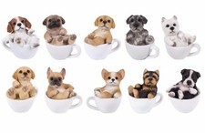 Mini Teacup Puppy Dog Pet Pals