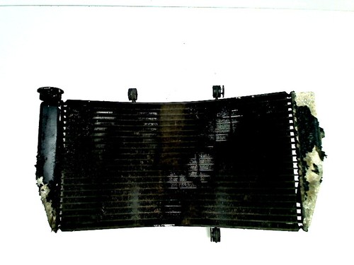 Radiator honda cbr 954 - radiator,